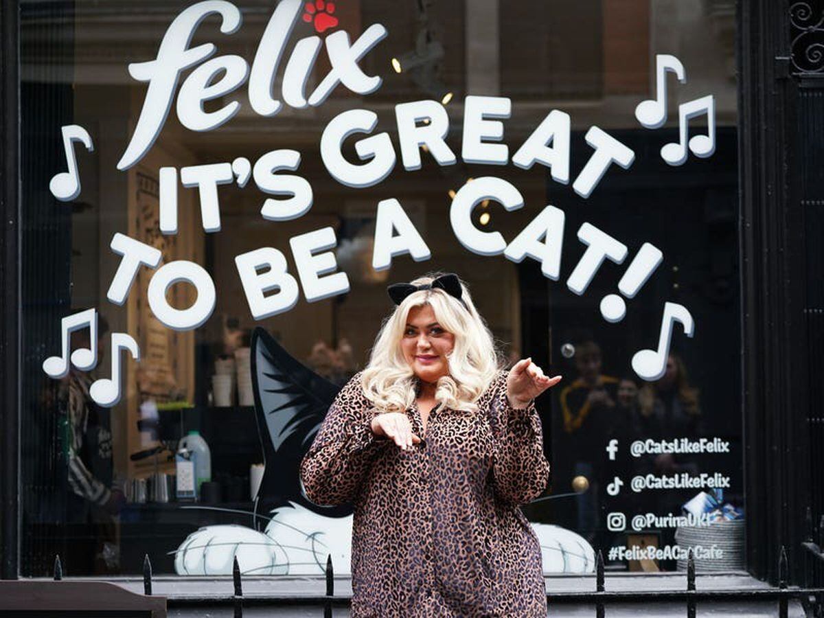 Gemma Collins helps launch London cafe encouraging people to be more like cats