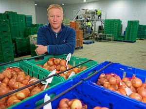 Charlie Gallichan, managing director of Woodside Farms, the Jersey business which supplies much of Guernsey’s vegetables, has decided to get out of the industry this year. (Picture by Rob Currie, 30577140)