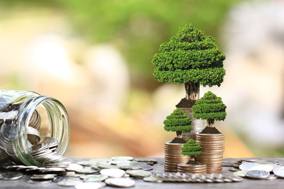 Trees growing on coins money and glass bottle on green background, investment and business concept. (30970129)