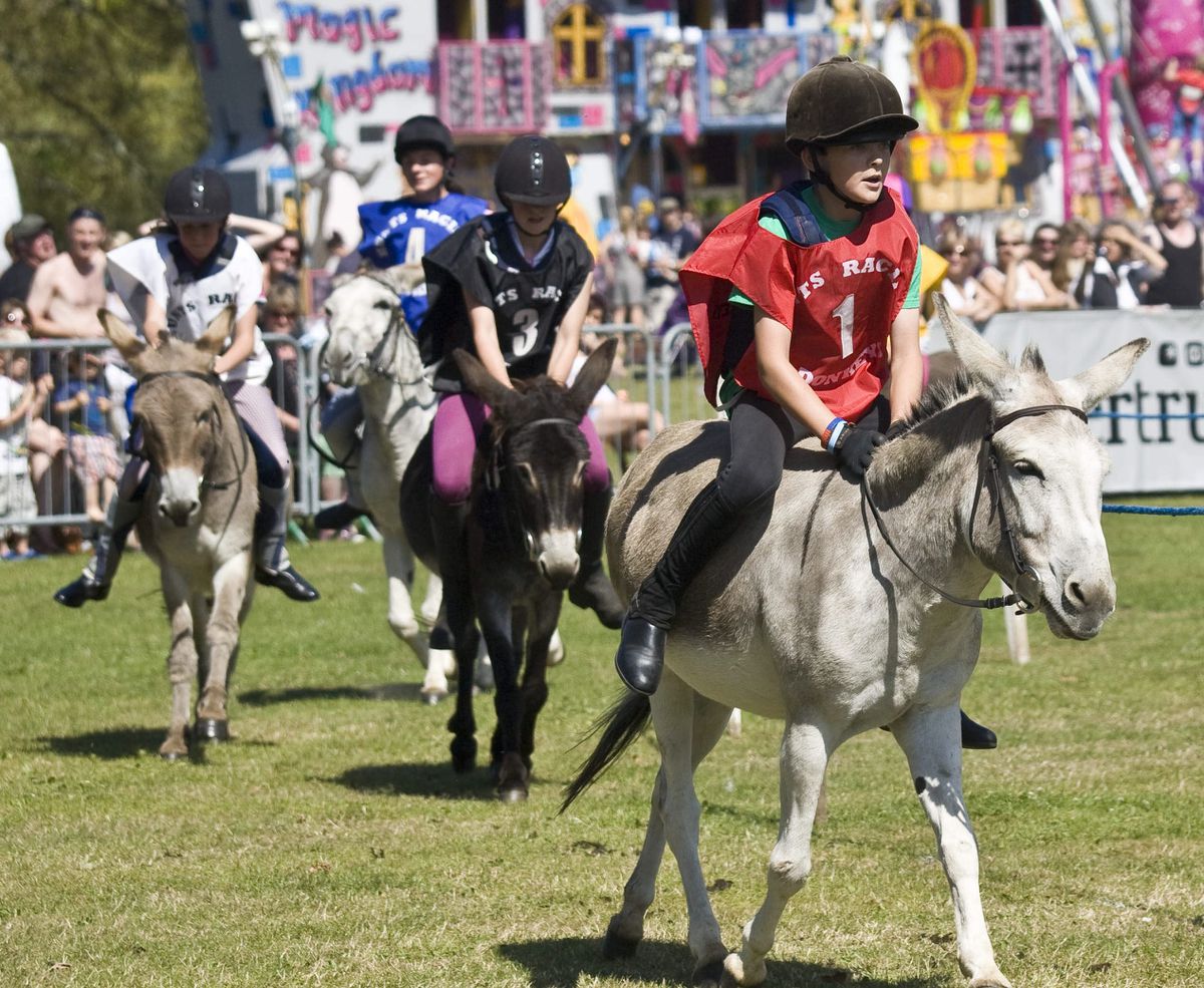 Donkey Derby called off again as Lions Club mitigates risk Guernsey Press