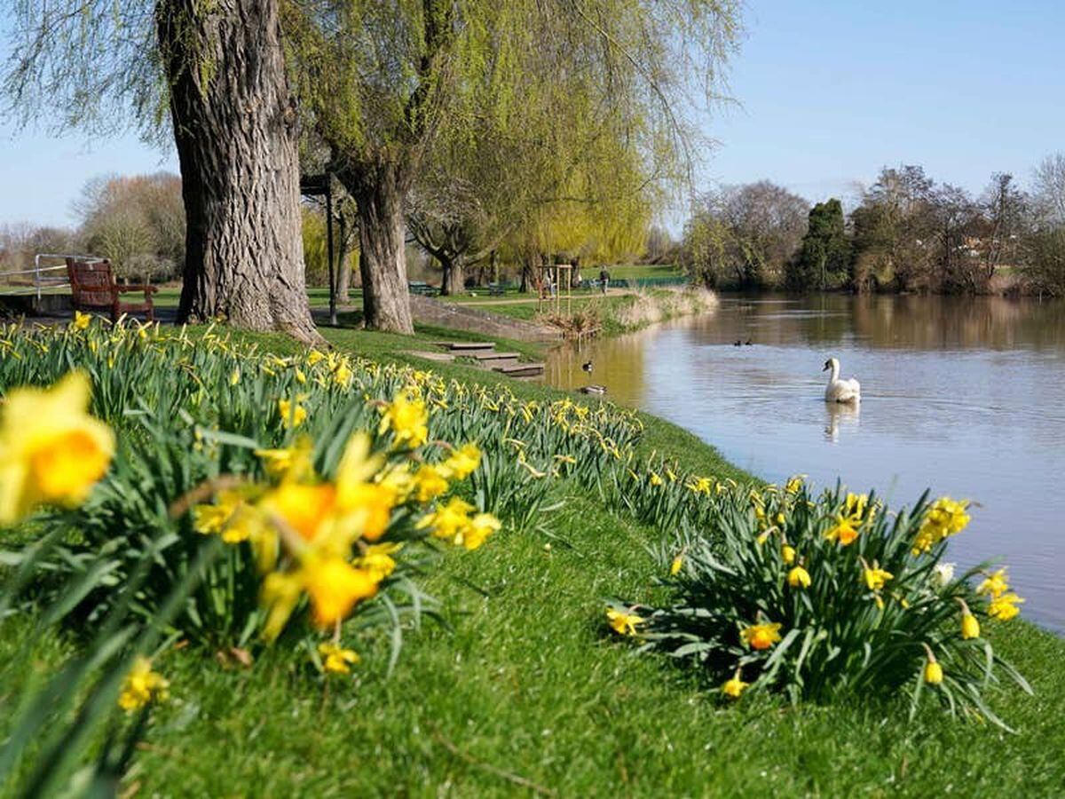 Wall-to-wall sunshine forecast with highest temperature so far this year