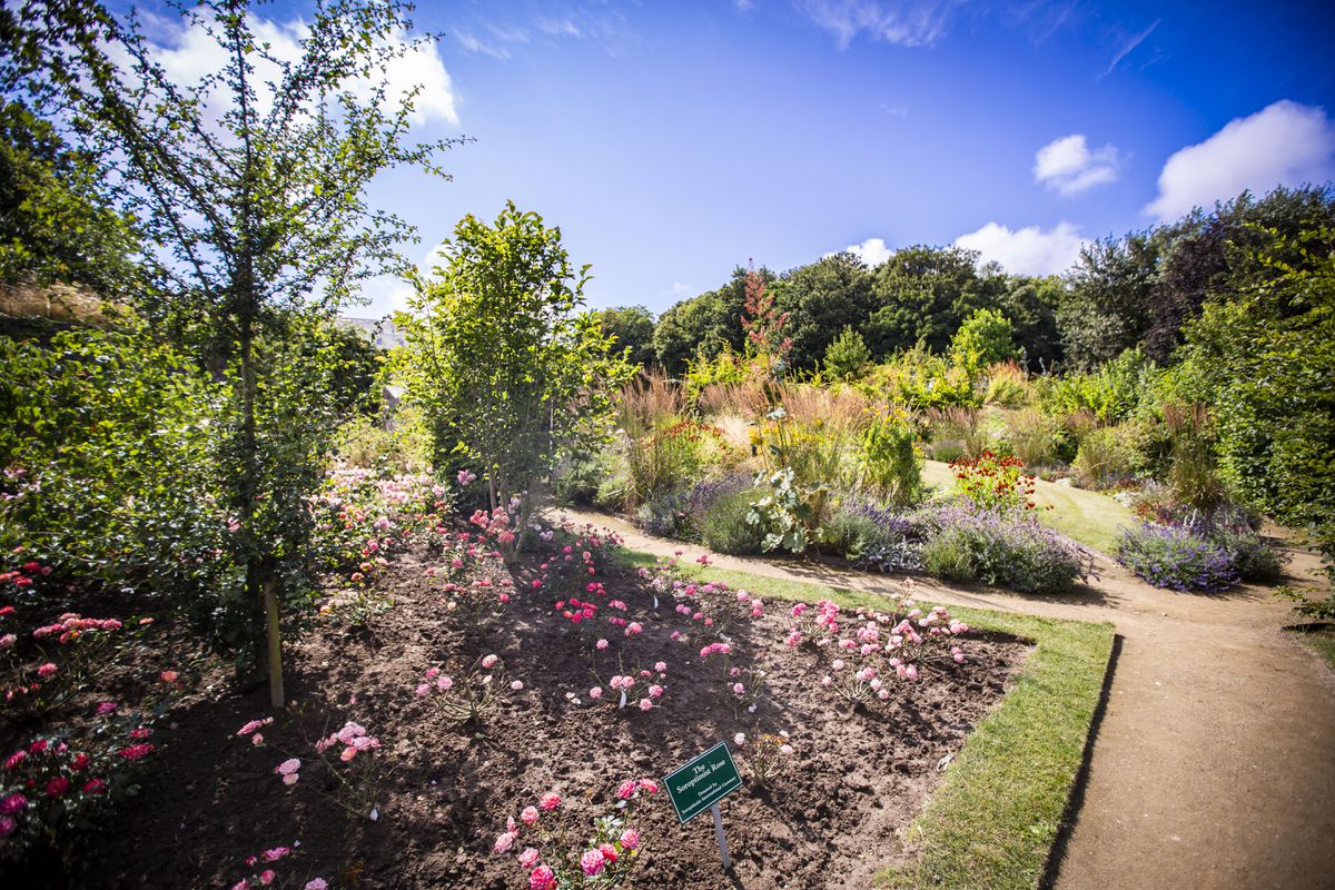 Les Cotils opens its gardens to visitors for the Ivy Trust | Guernsey Press