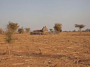 UN warns of 18 million facing severe hunger in region of Africa