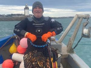 Matt Le Maitre usually expects to find three or four dozen scallops on a Christmas Day dive, but this year’s haul of 86 was his best for a few years. (Pictures by Sophie Rabey, 31607842)