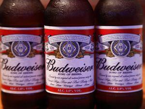 Budweiser renews Fifa deal to 2026 despite World Cup stadium beer ban in Qatar