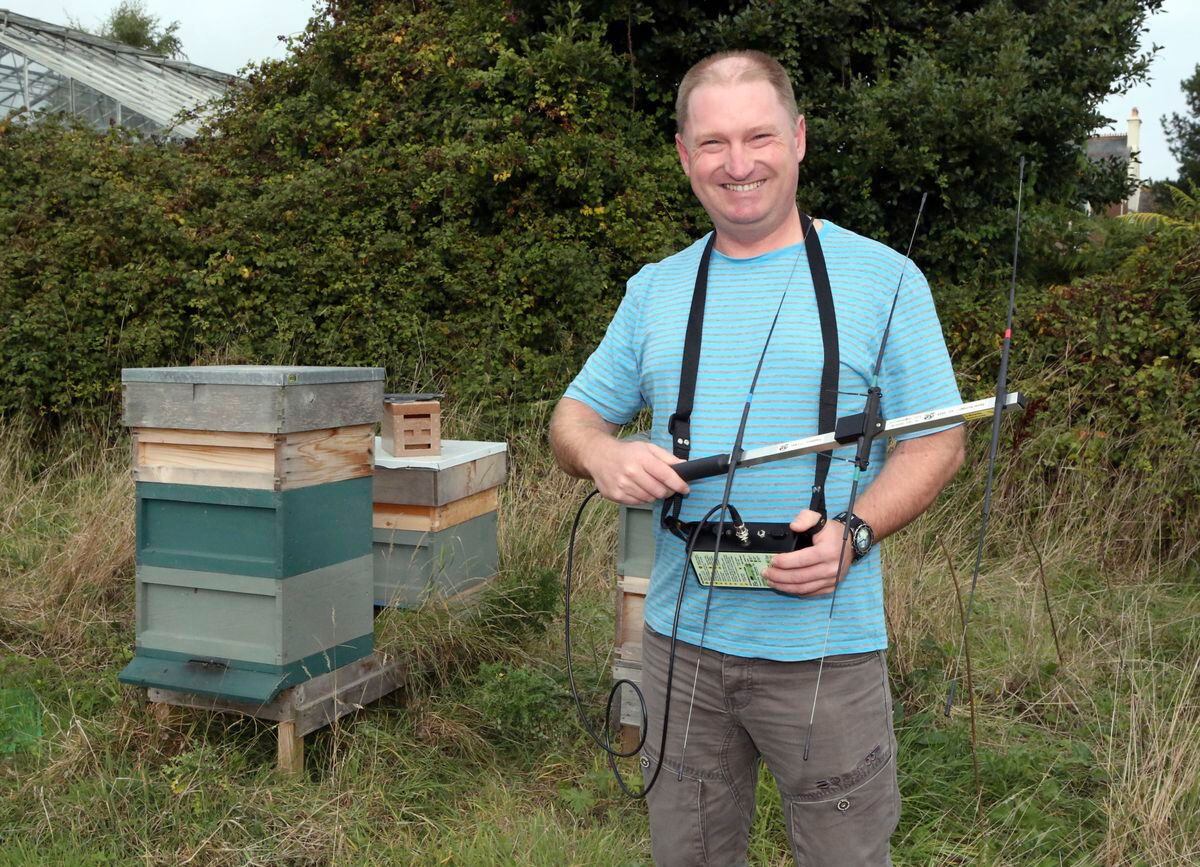 Asian hornet trackers ready to go into use | Guernsey Press