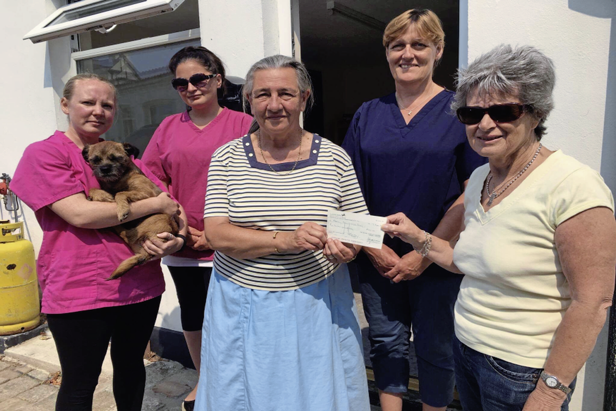 Donation improves lives of Alderney pets | Guernsey Press