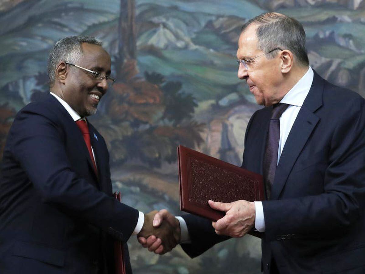 Russia offers support to Somalian army in fight against terror groups