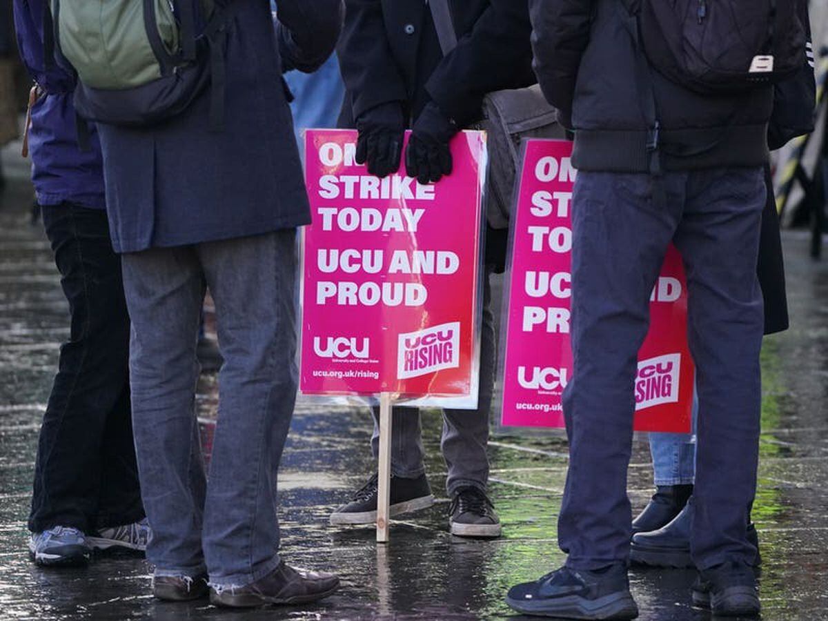 Disruption could continue into 2024 as university staff strike, union warns