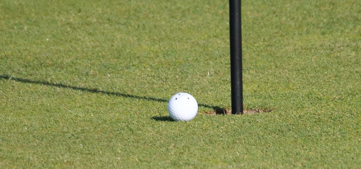 Danny Bisson’s tee shot on the seventh hole finished just short of the hole. (32128755)