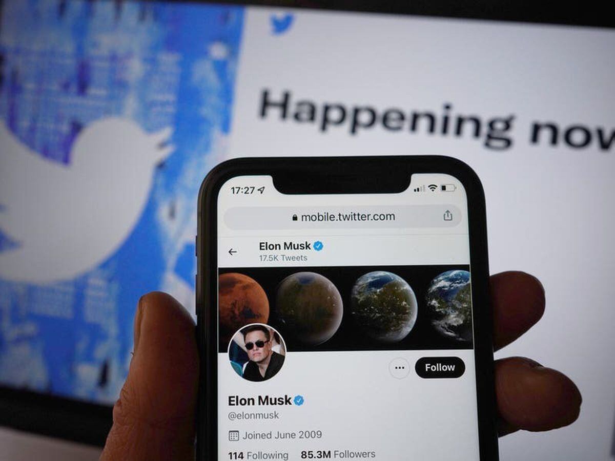Musk ‘amnesty’ on banned Twitter accounts will ‘open the gates of hell’