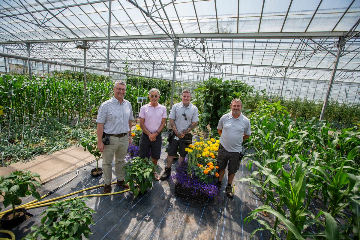 Prison garden open day next month | Guernsey Press