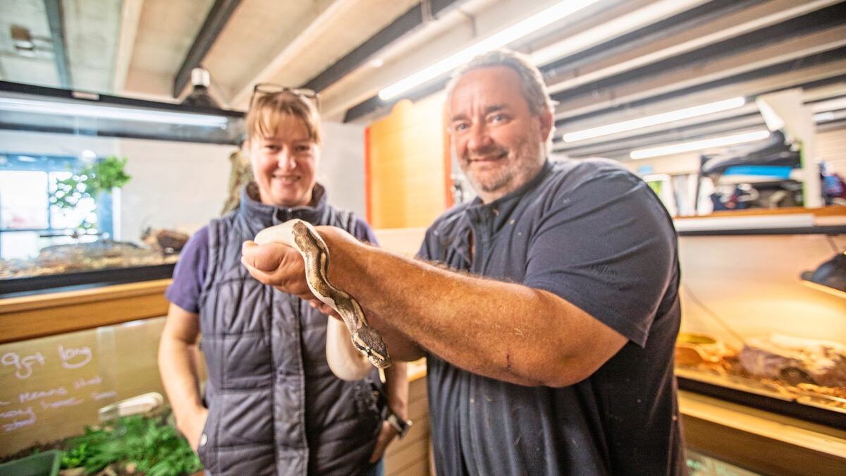 Snakes Alive! Bishes Fishes to become Terraria and Aquaria | Guernsey Press