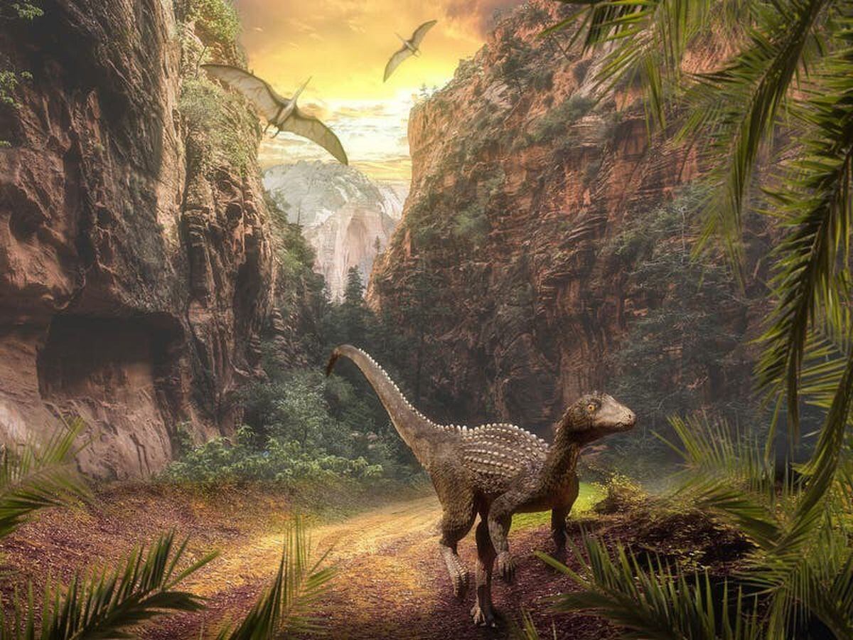 Rise Of Dinosaurs Helped By Volcanic Eruptions, Research Suggests ...