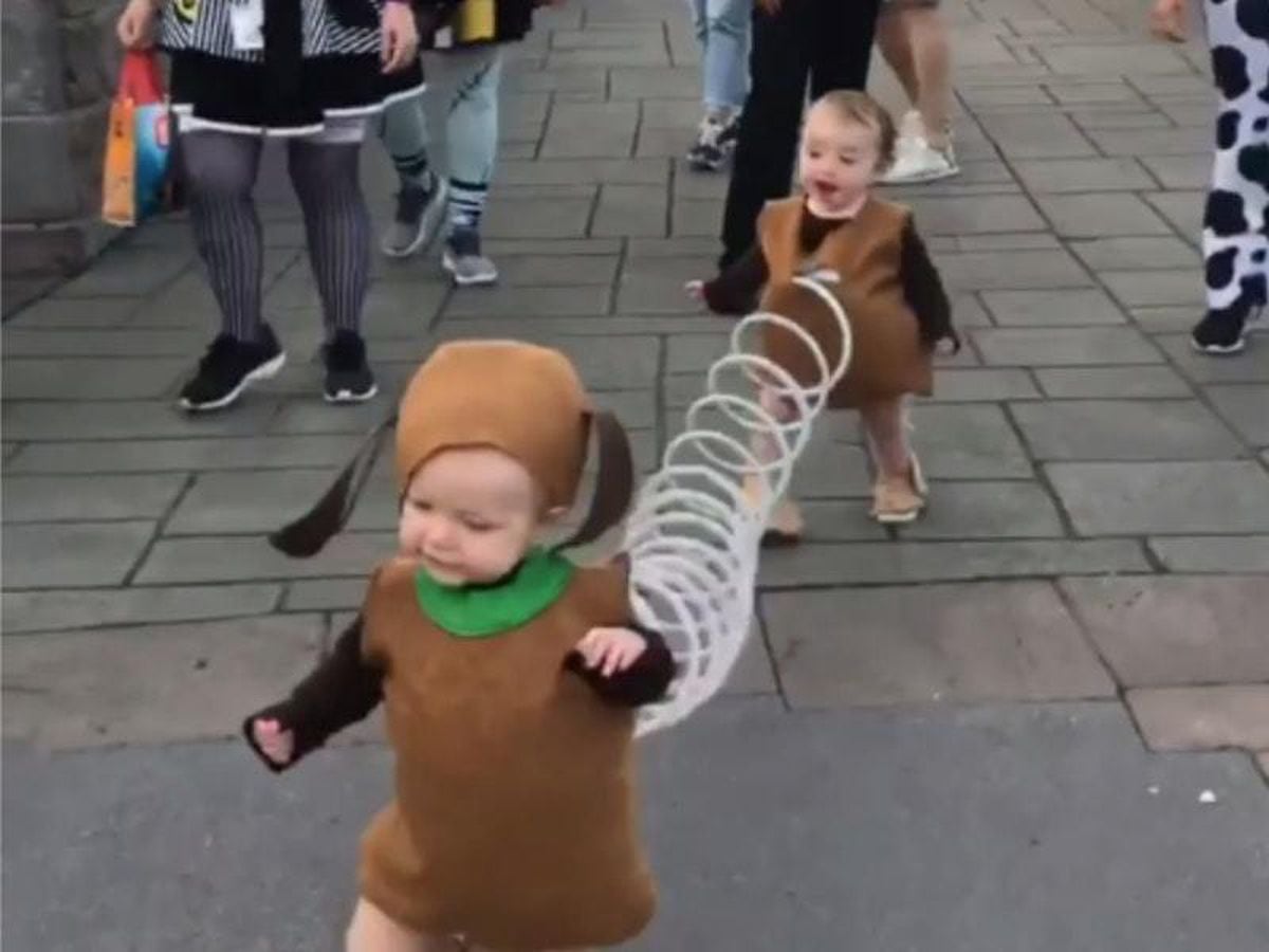 These toddlers dressed as Slinky Dog from Toy Story are serious