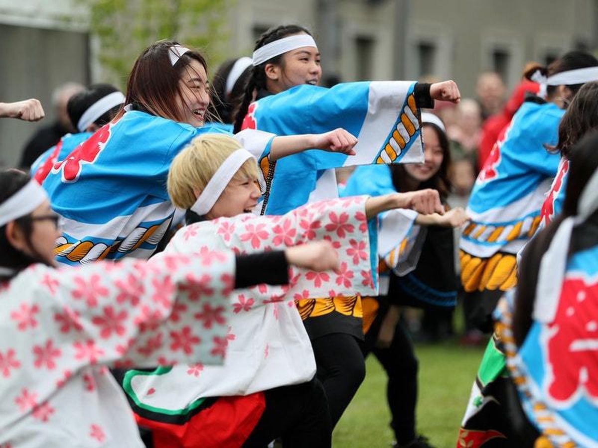 In Pictures: Japanese flower festival celebrated in Dublin park ...