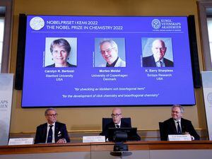 Nobel Prize for chemistry goes to trio for work on molecule attachment