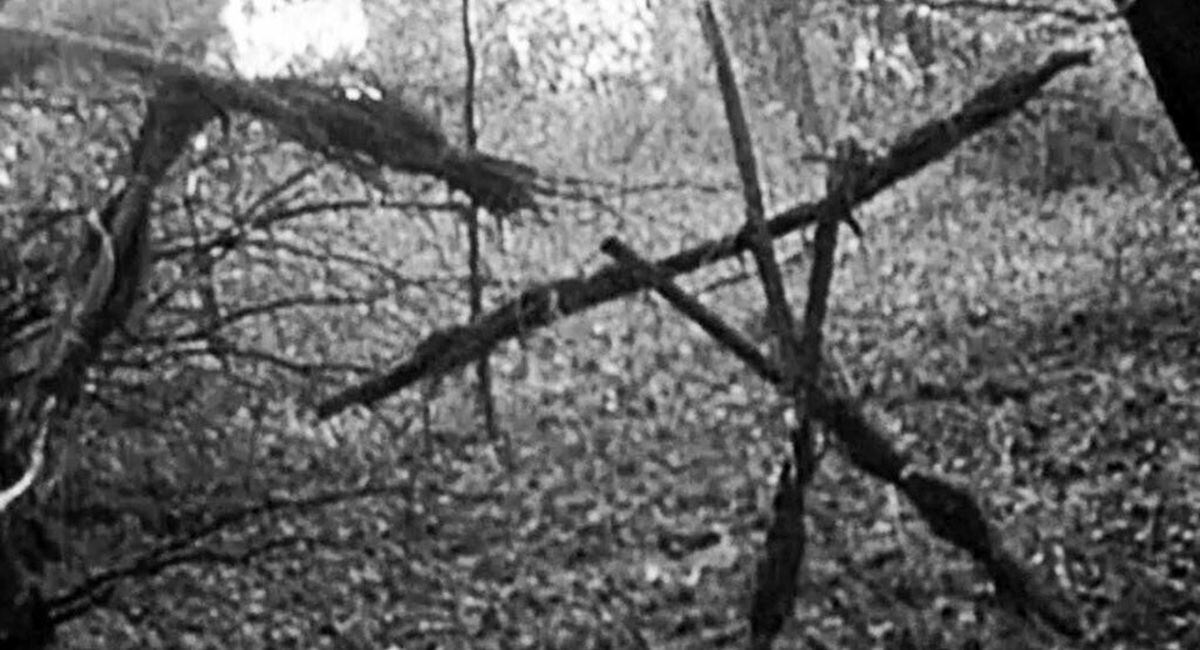 The 'Stick Men' in The Blair Witch Project (31408954)